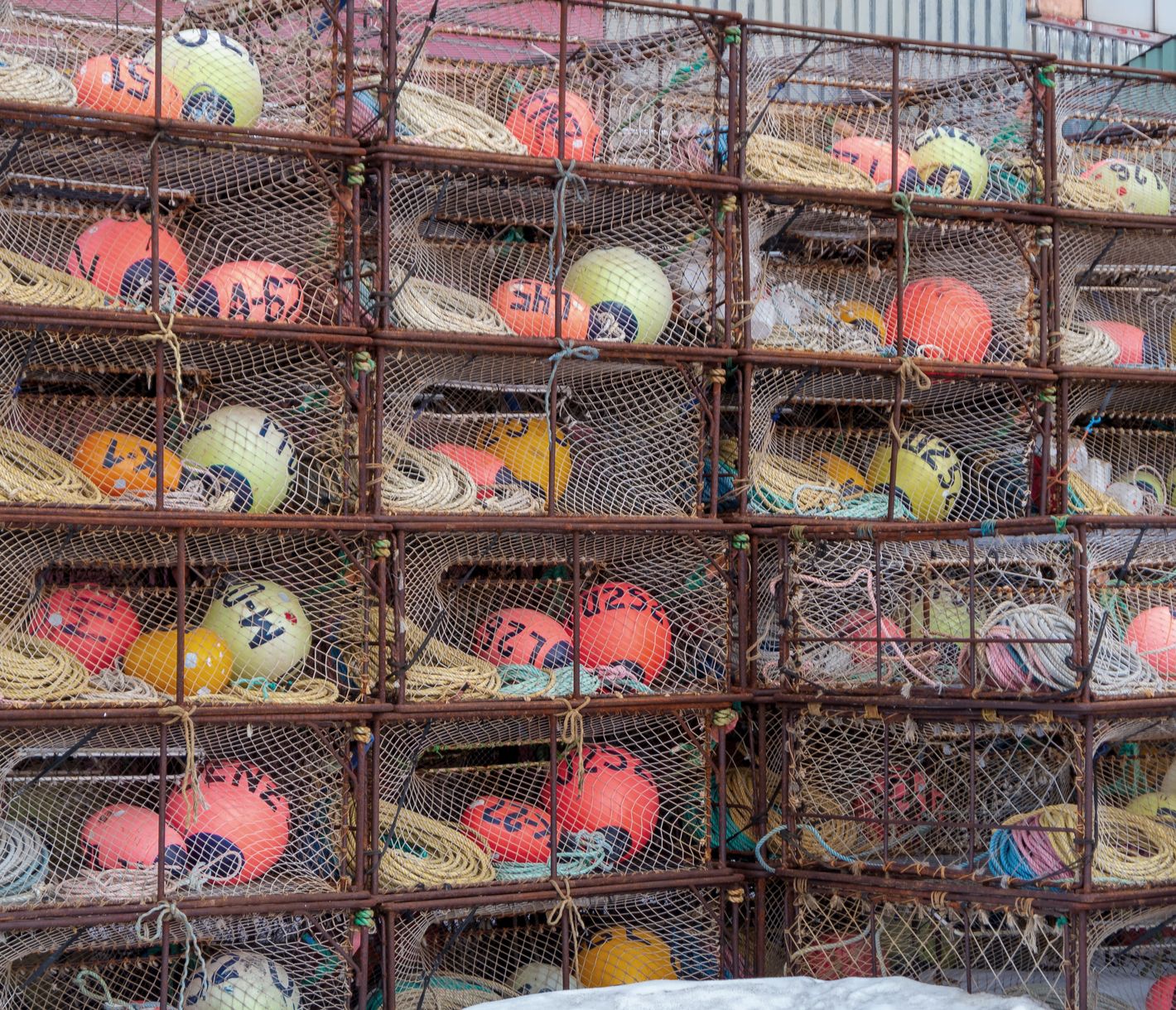 Königskrabben fischen in der Beringsee