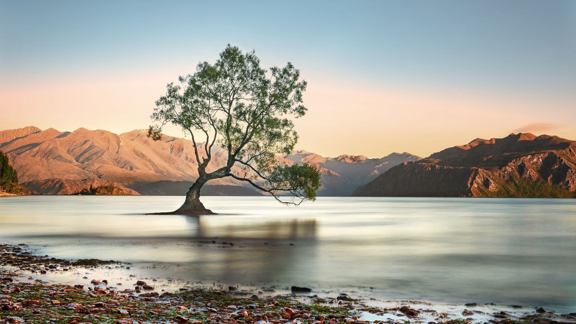 Wanaka