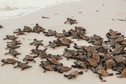 9. Bild der Unterkunft