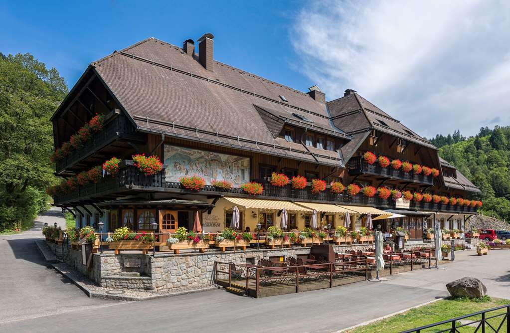 16.Bild der Unterkunft