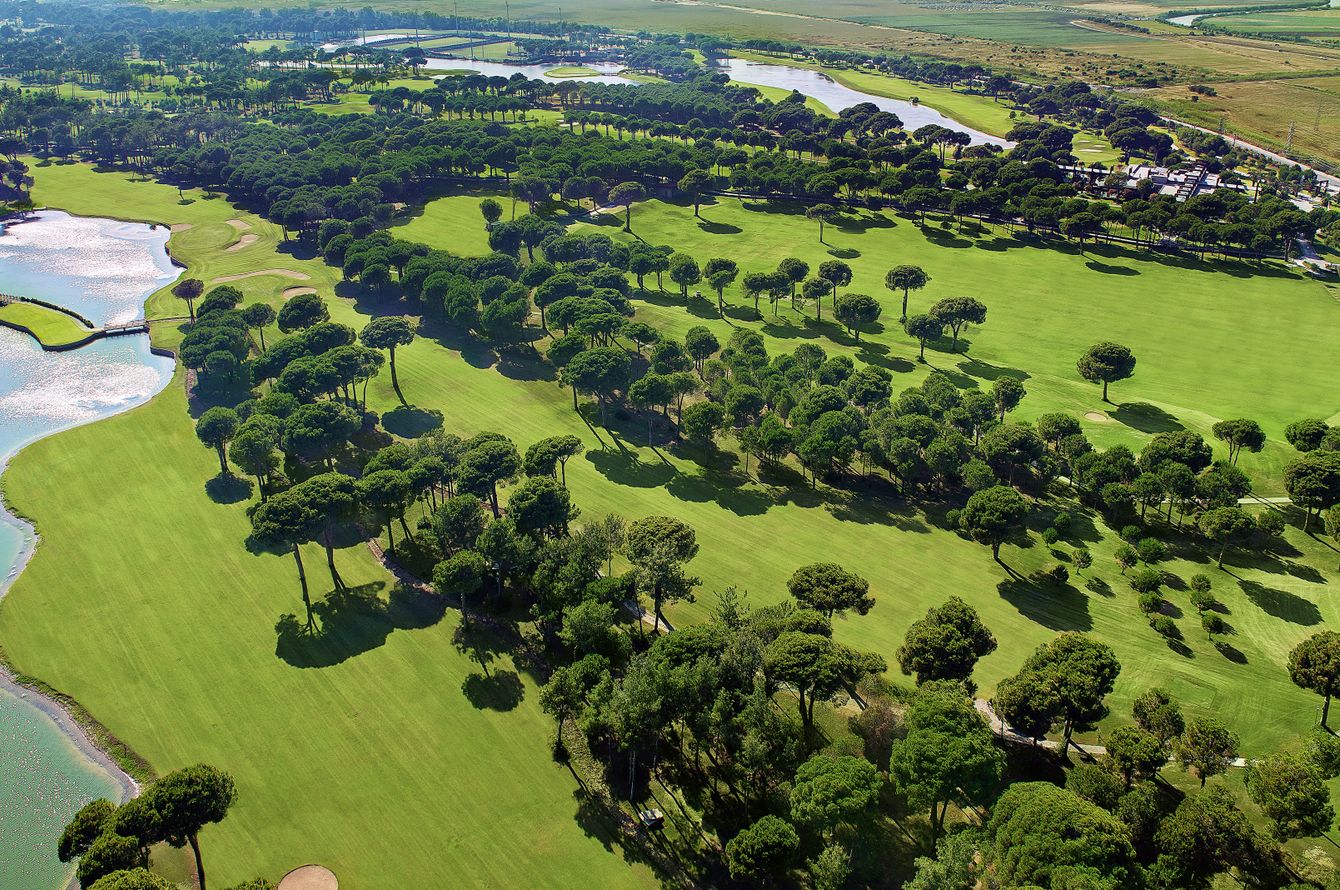 Golfplatz