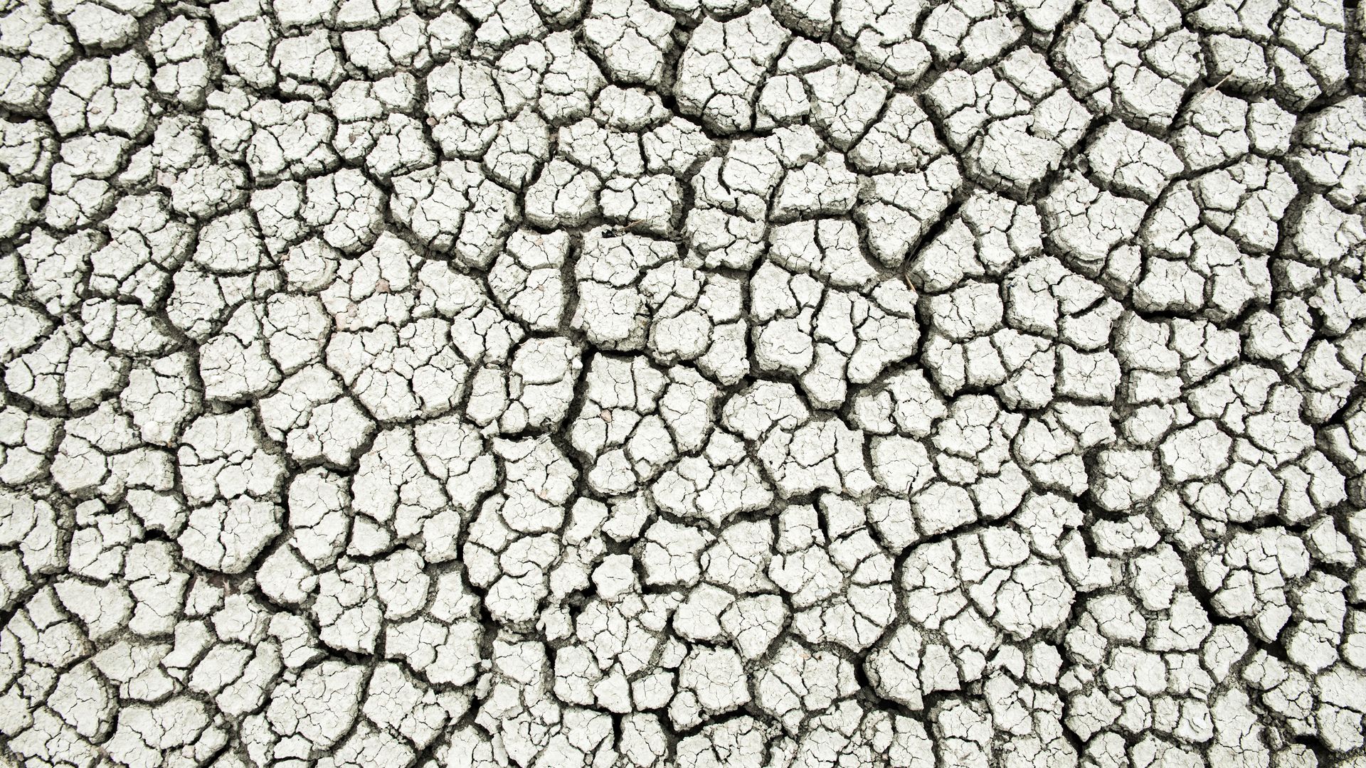 Ausgetrockneter und aufgerissener Boden in der Etosha-Salzpfanne