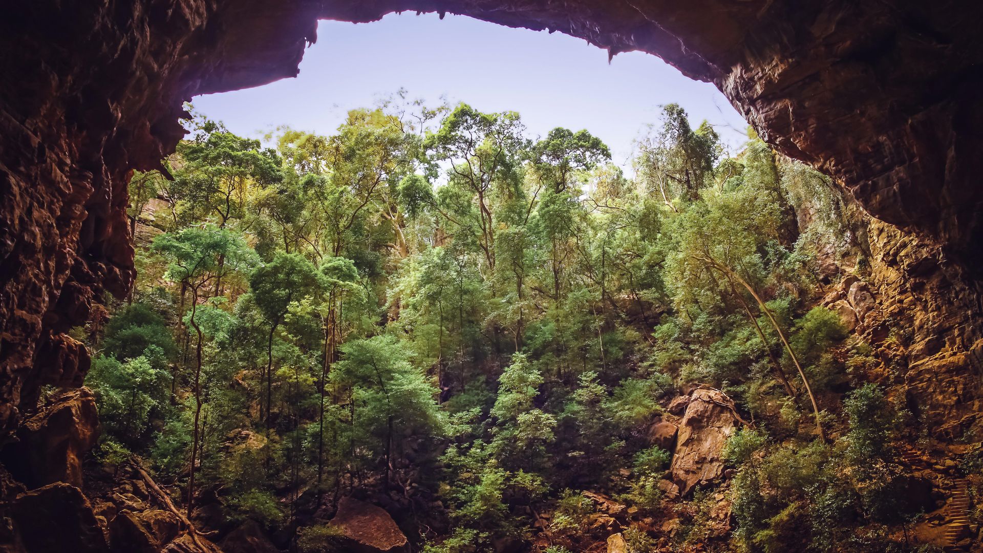 Eingang der «Bat Cave» (Fledermaus-Höhle) im Ankarana-Nationalpark