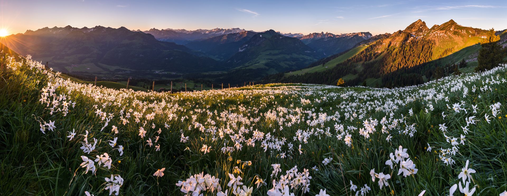 Haut-Intyamon / © Switzerland Tourism, Martin Maegli