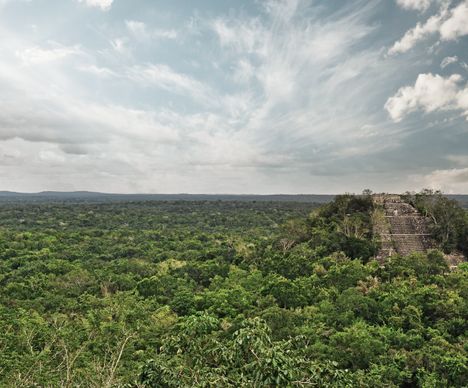 Ausblick von der Maya-Pyramide in Calakmul über den Dschungel nach Guatemala