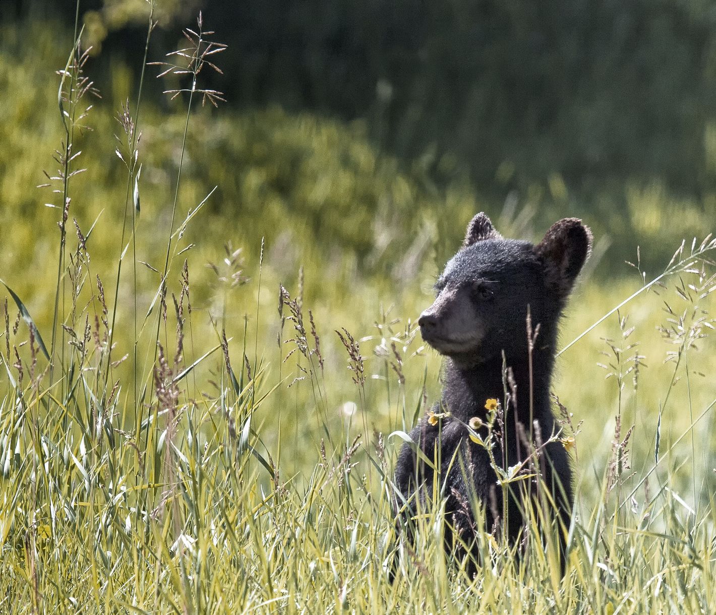 Hmm, was ist denn hier los?