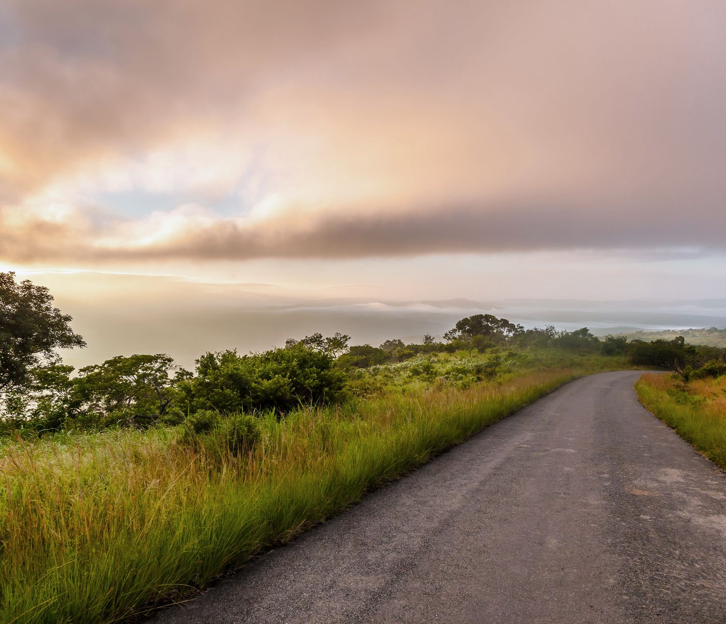 Hügeliges und buschiges Gebiet im Hluhluwe-Imfolozi-Park