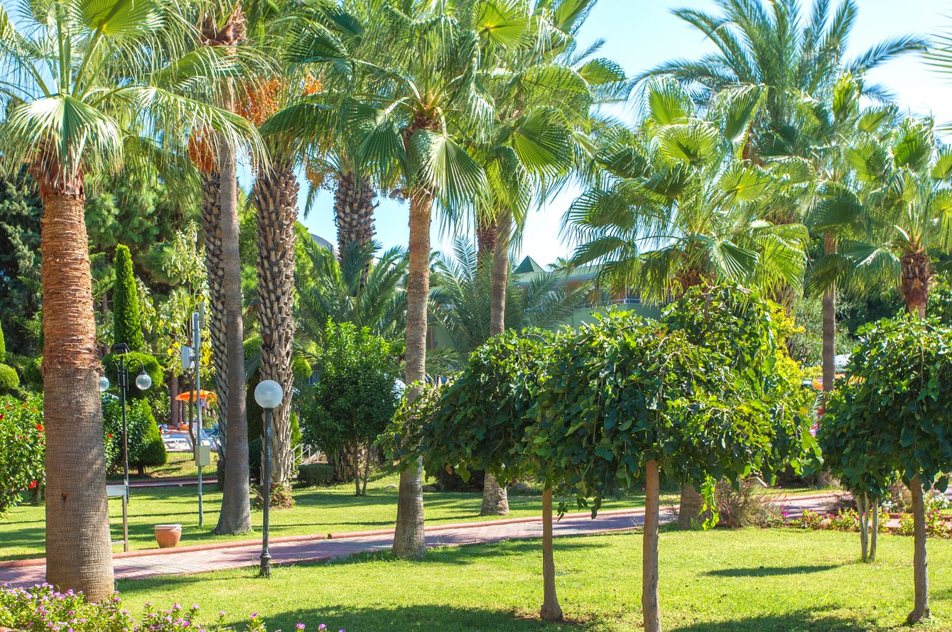 Gartenanlage