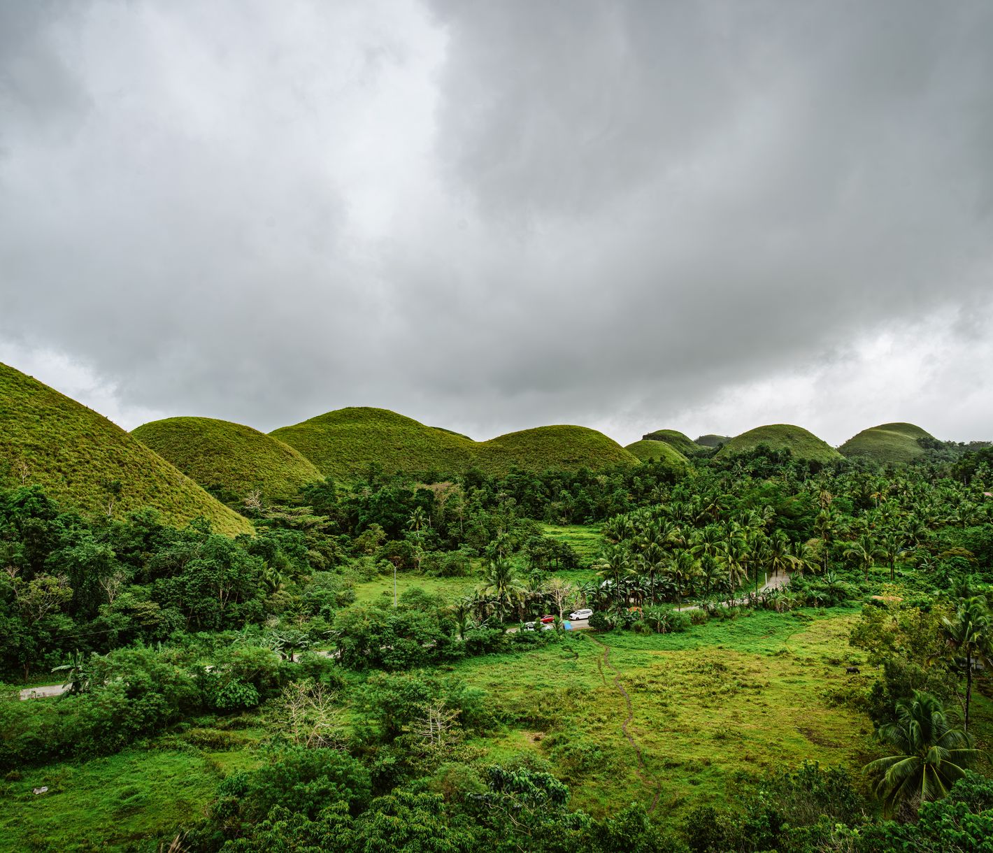 Die faszinierenden Chocolate Hills, ein Naturwunder auf der Insel Bohol, das seinesgleichen sucht.