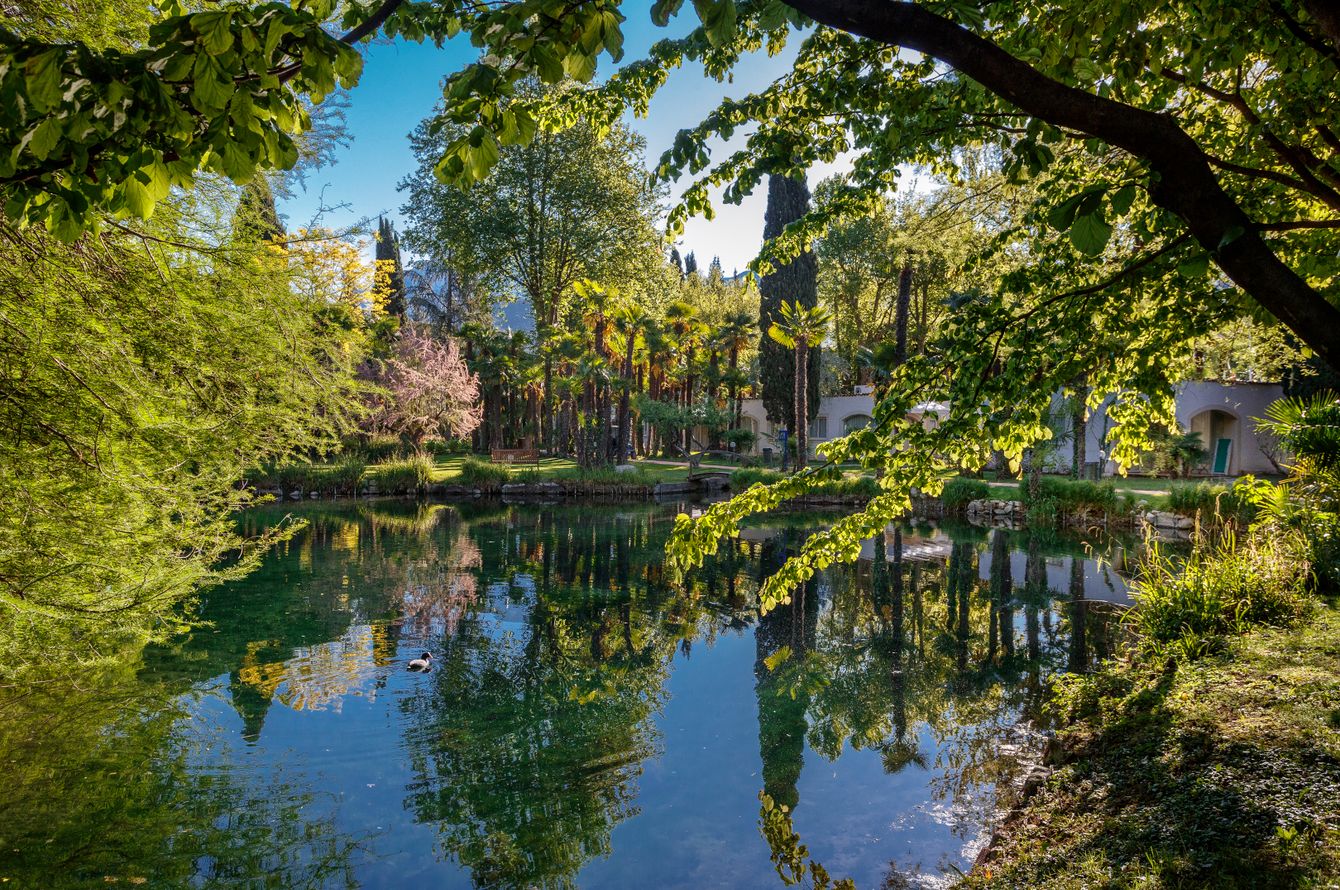 Grand Resort Du Lac Et Du Parc
