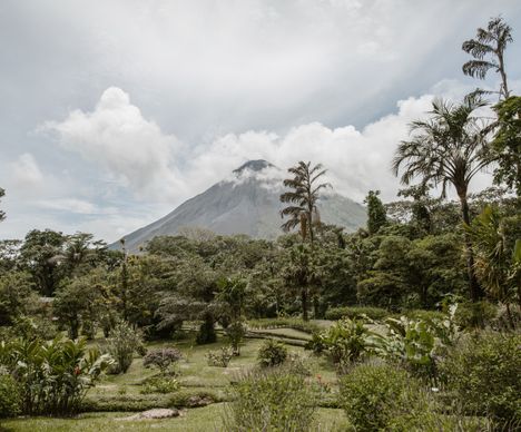 Le volcan Arenal