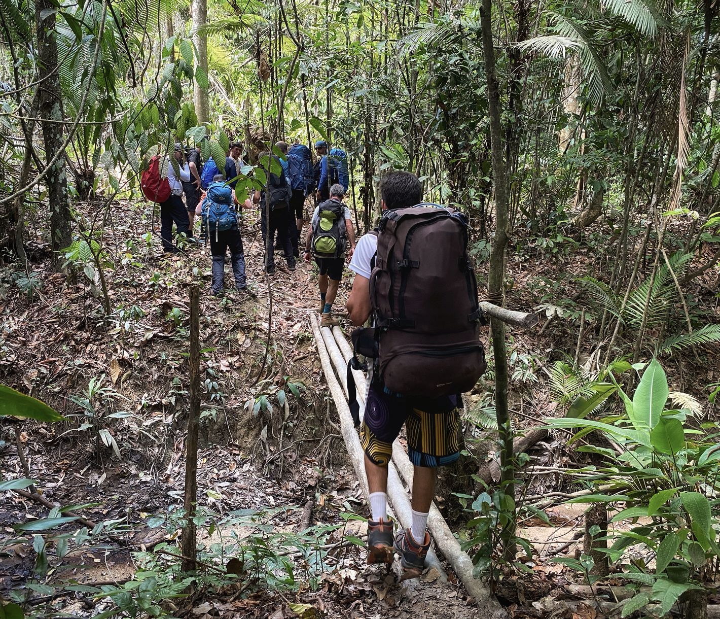 Dschungel-Trekking