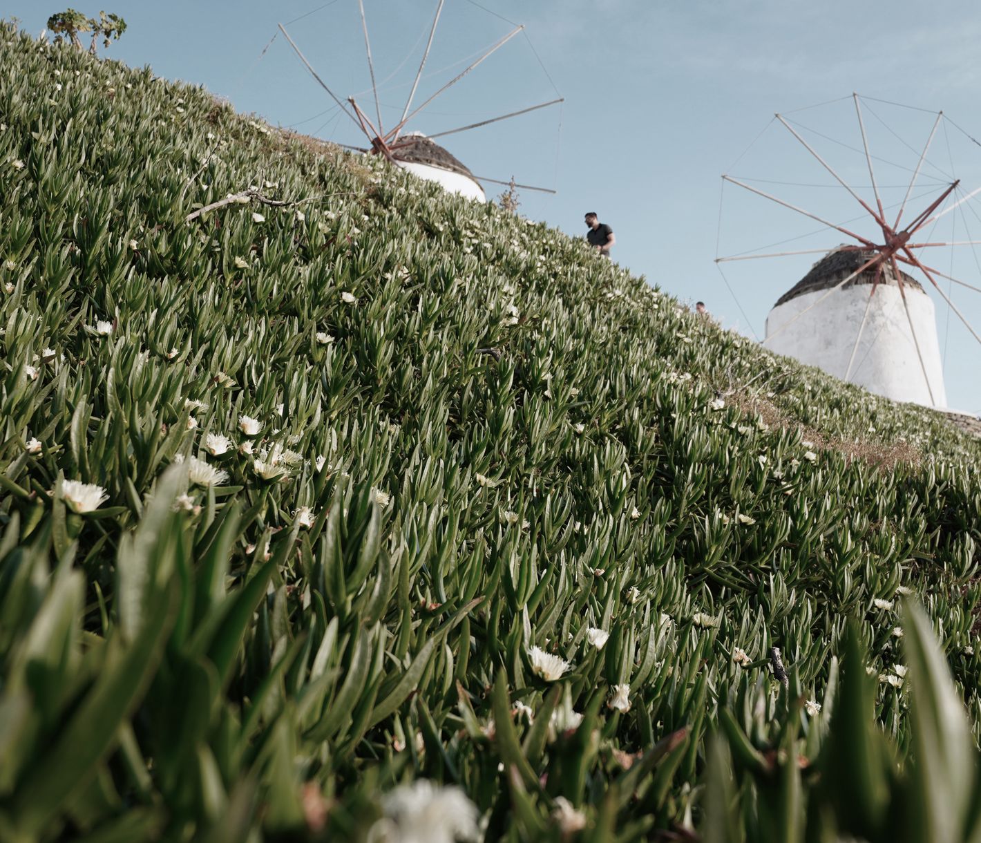 Die ikonischen Windmühlen von Mykonos