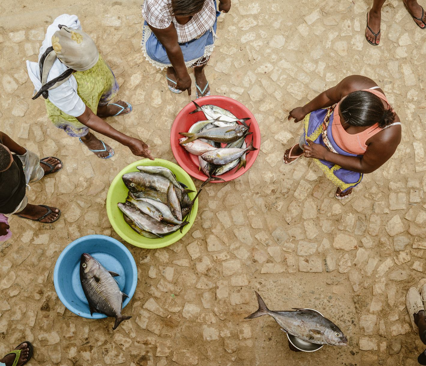 Der Fang vom Tag wird in Maio direkt unter die Leute gebracht.