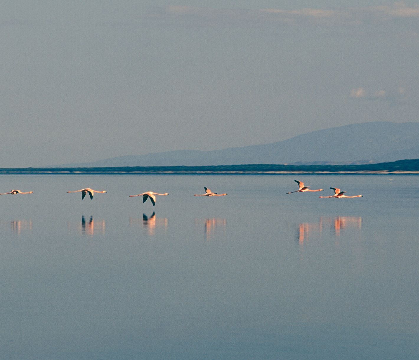 Salzhaltige Laguna de Oviedo