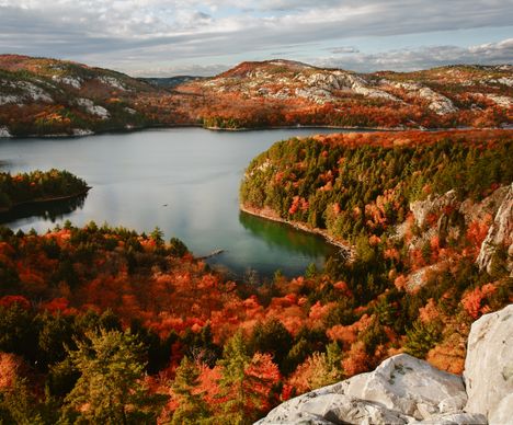 Herbstliche Farbenpracht im Killarney Provincial Park
