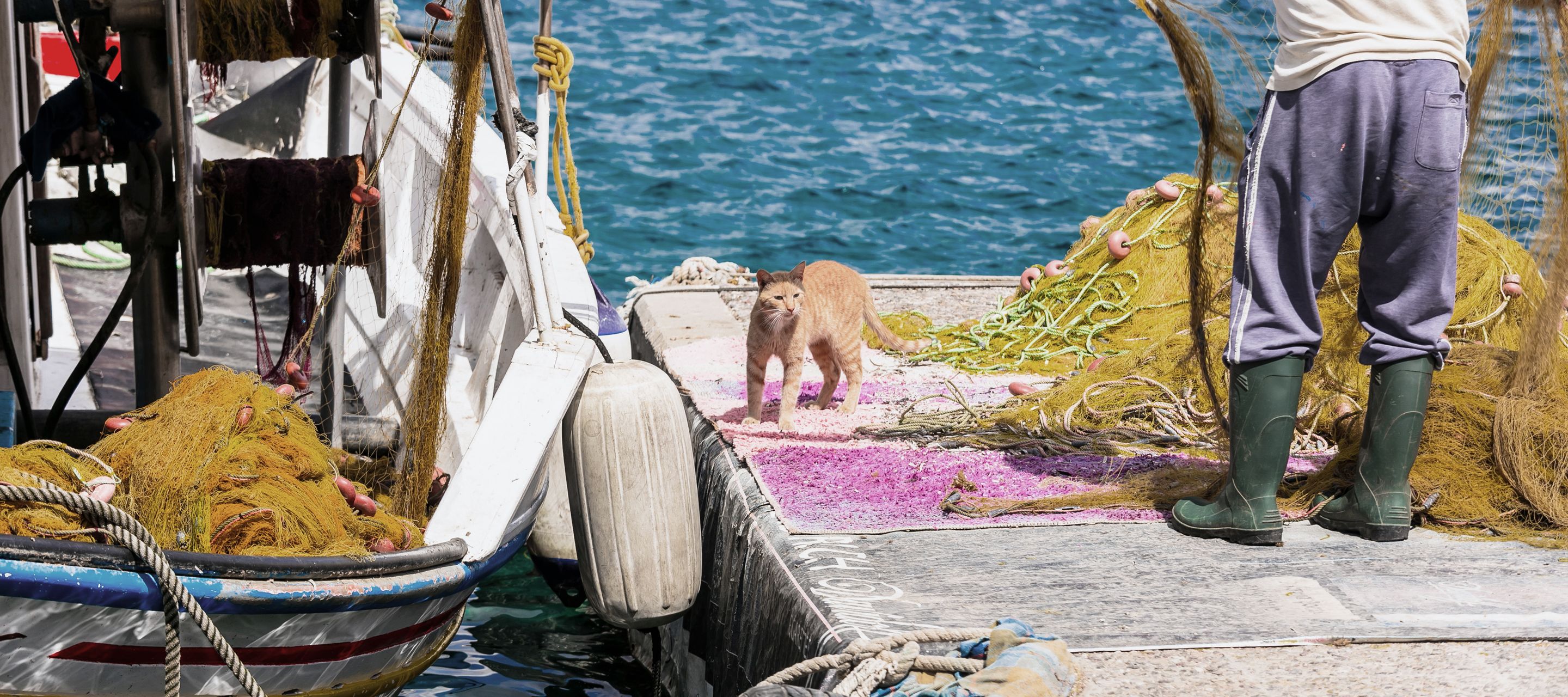 Die Fischerei – eine von Leors Lebensadern