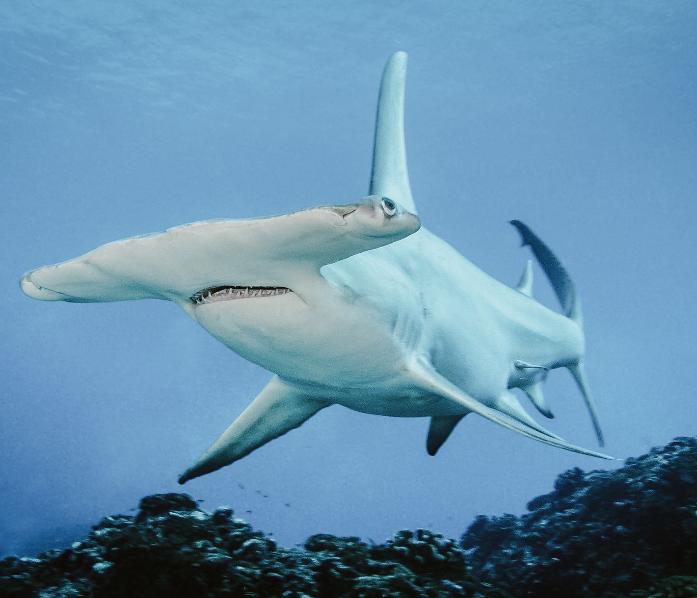 La passe de Tiputa à Rangiroa