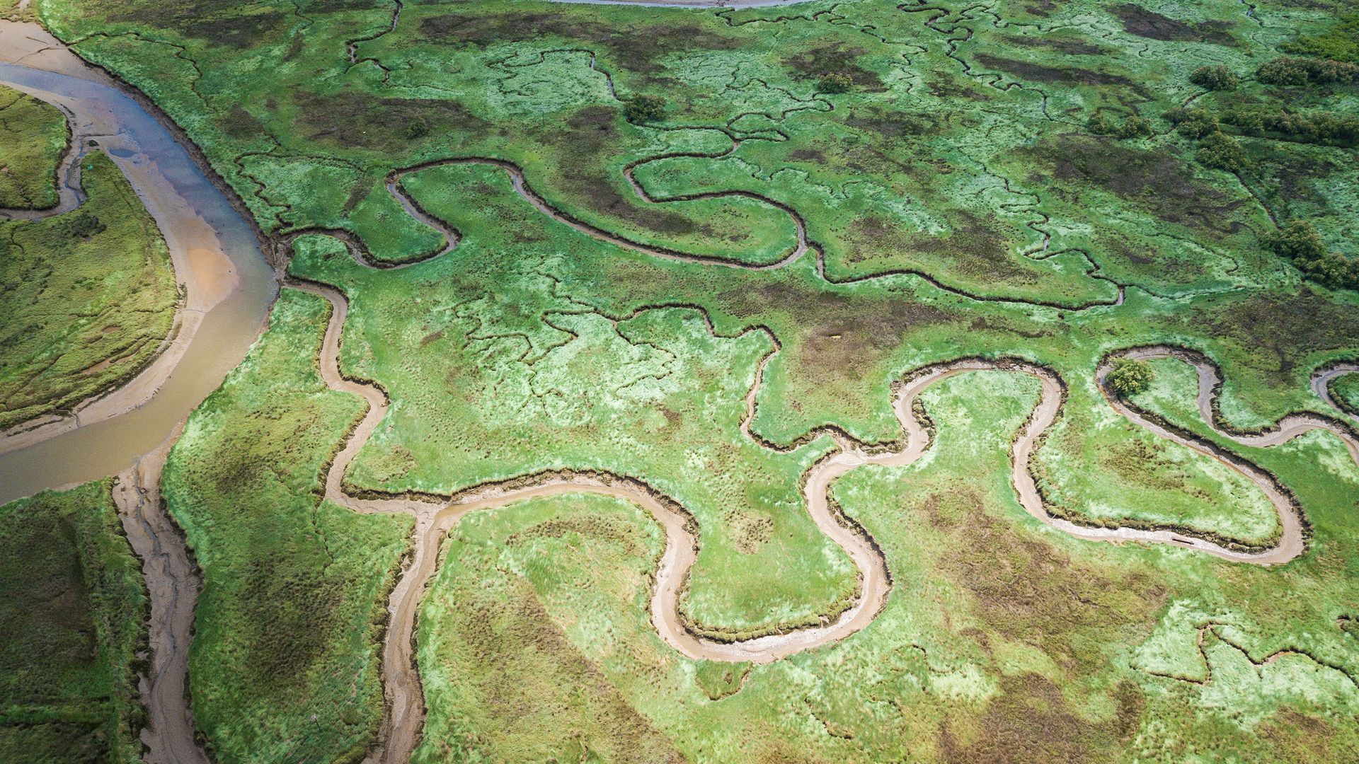 Ein Teil des tropischen Marschlands ist als Nationalpark geschützt.
