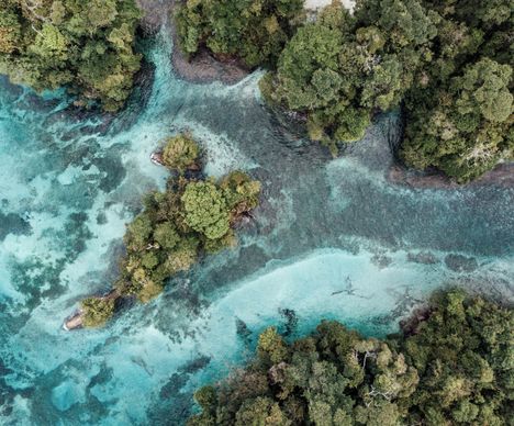 Bocas del Toro, 9 îles aux airs de paradis, entre terre et mer