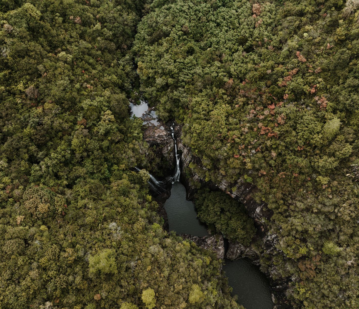 Blick auf einen der 7 Wasserfälle von Tamarind im grünen Herzen von Mauritius.
