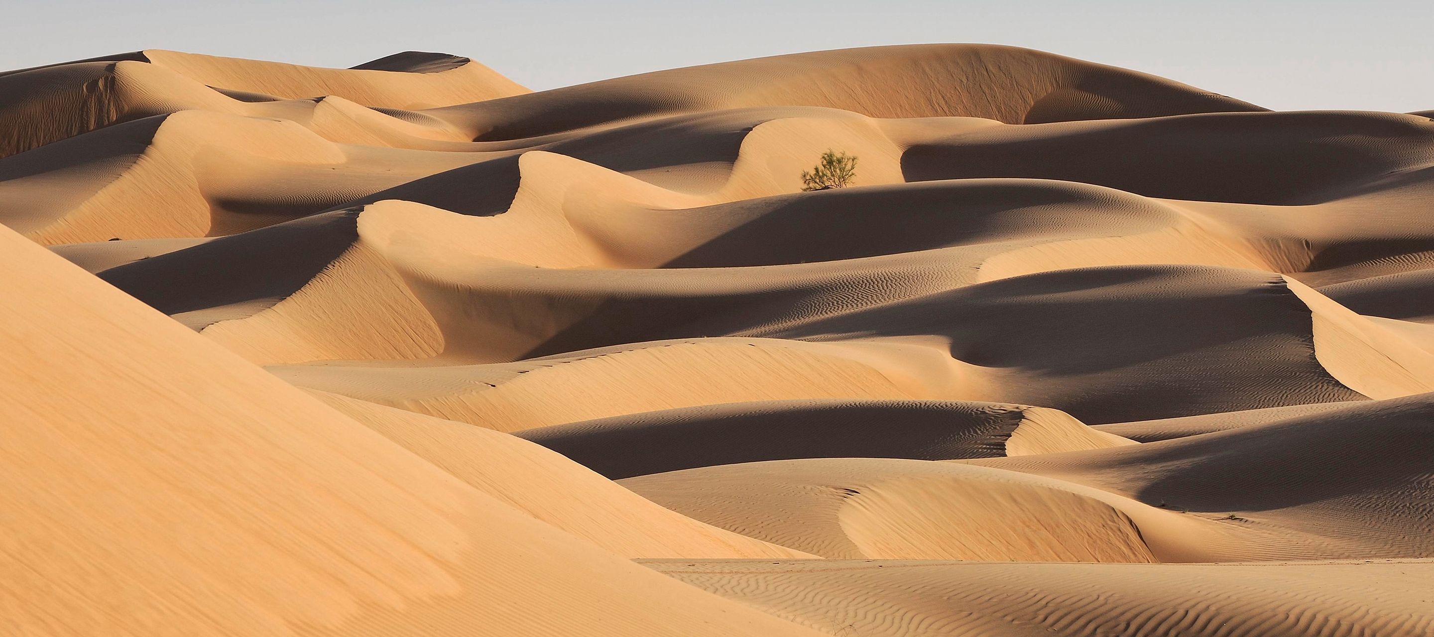Instant d’émotion devant la mer de sable des Wahiba Sands