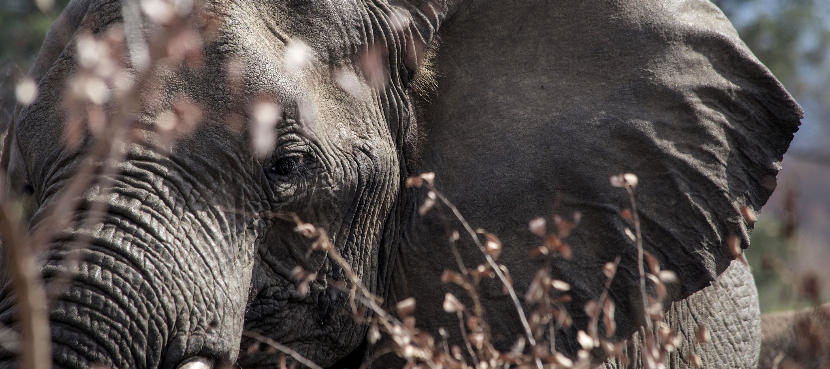 Une rencontre impressionnante