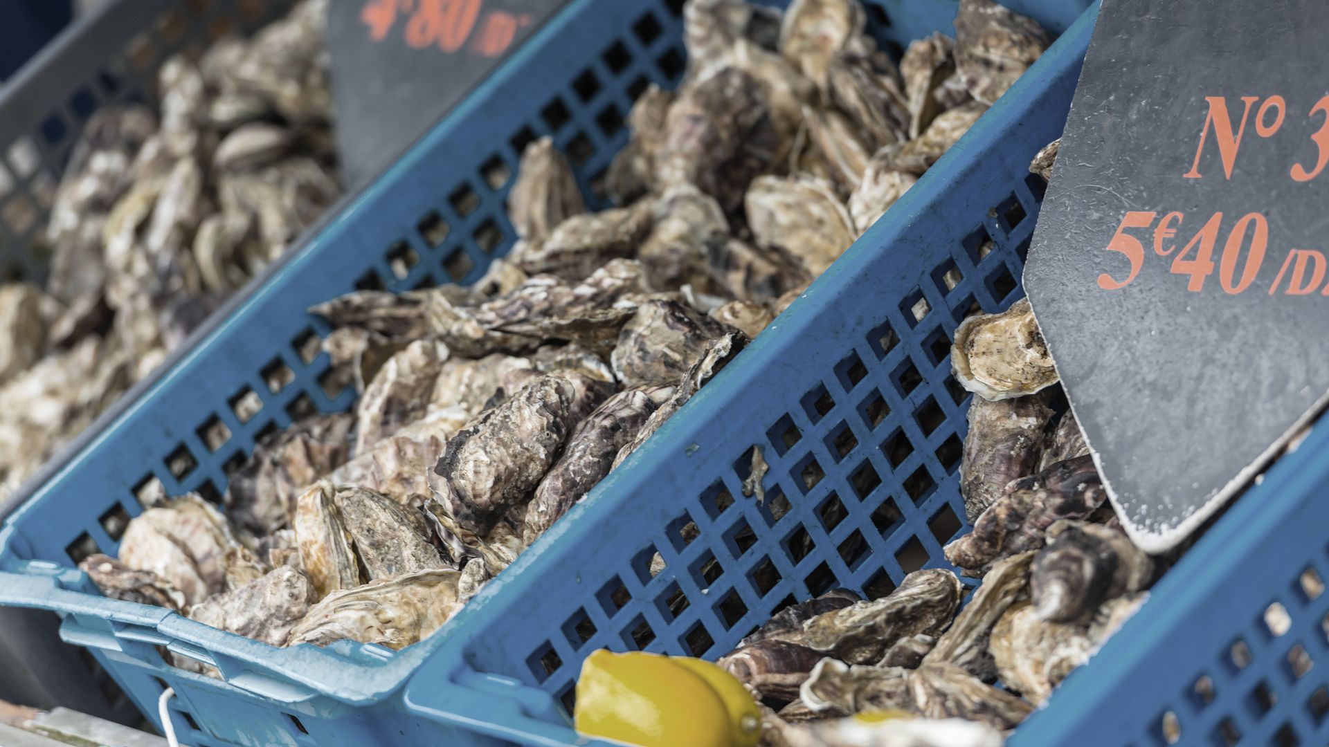 Eine Delikatesse, aber kein Luxus: Austern in Cancale