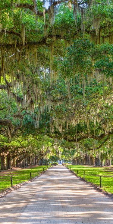 South Carolina Reisen