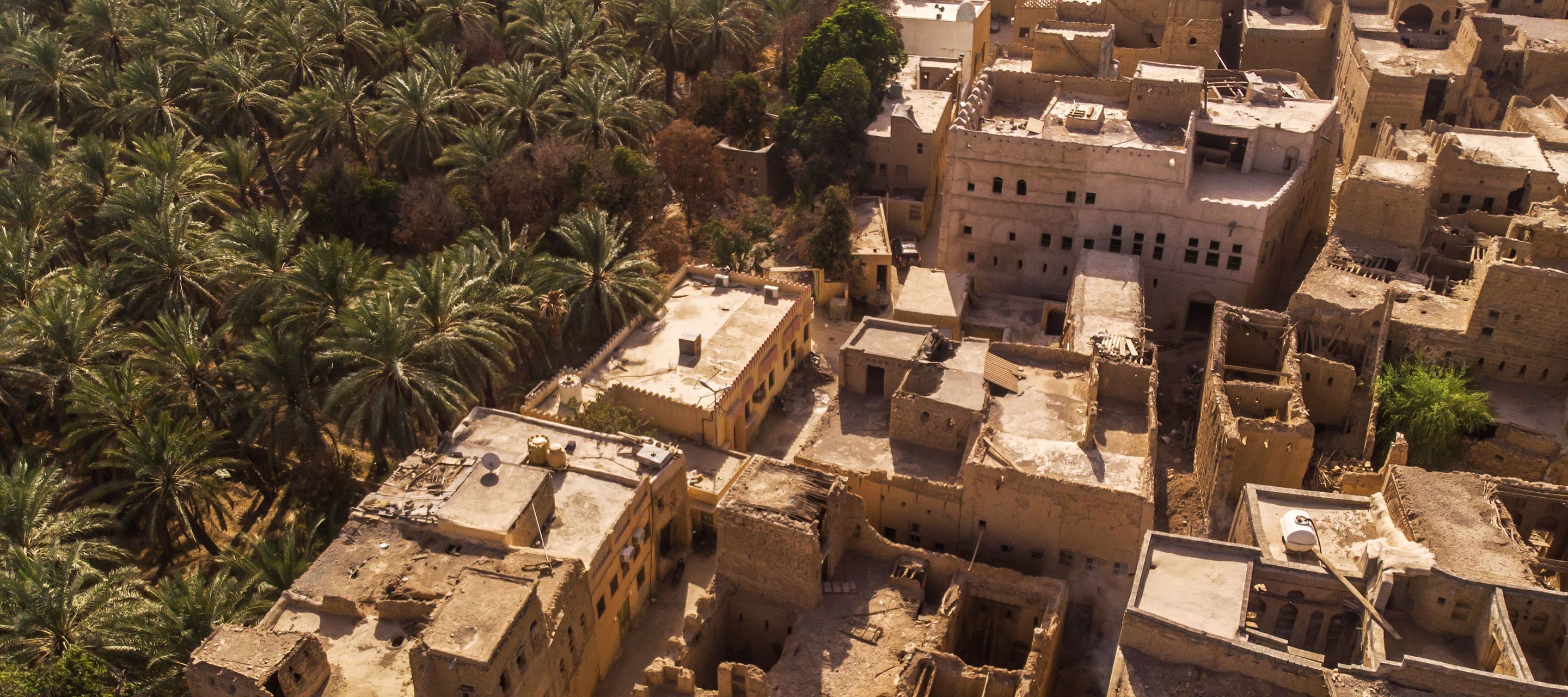 La vieille ville d'Al Hamra et les plantations de dattes