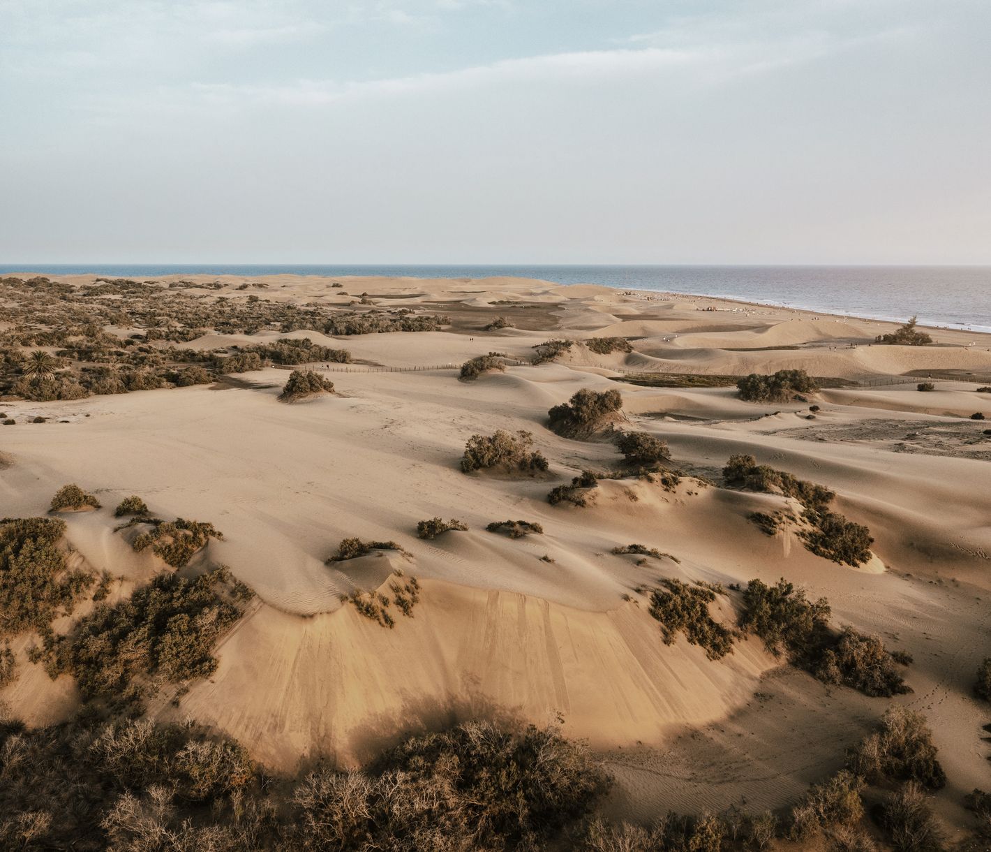 Die Dünen von Maspalomas – Ein Wüstenparadies auf Gran Canaria