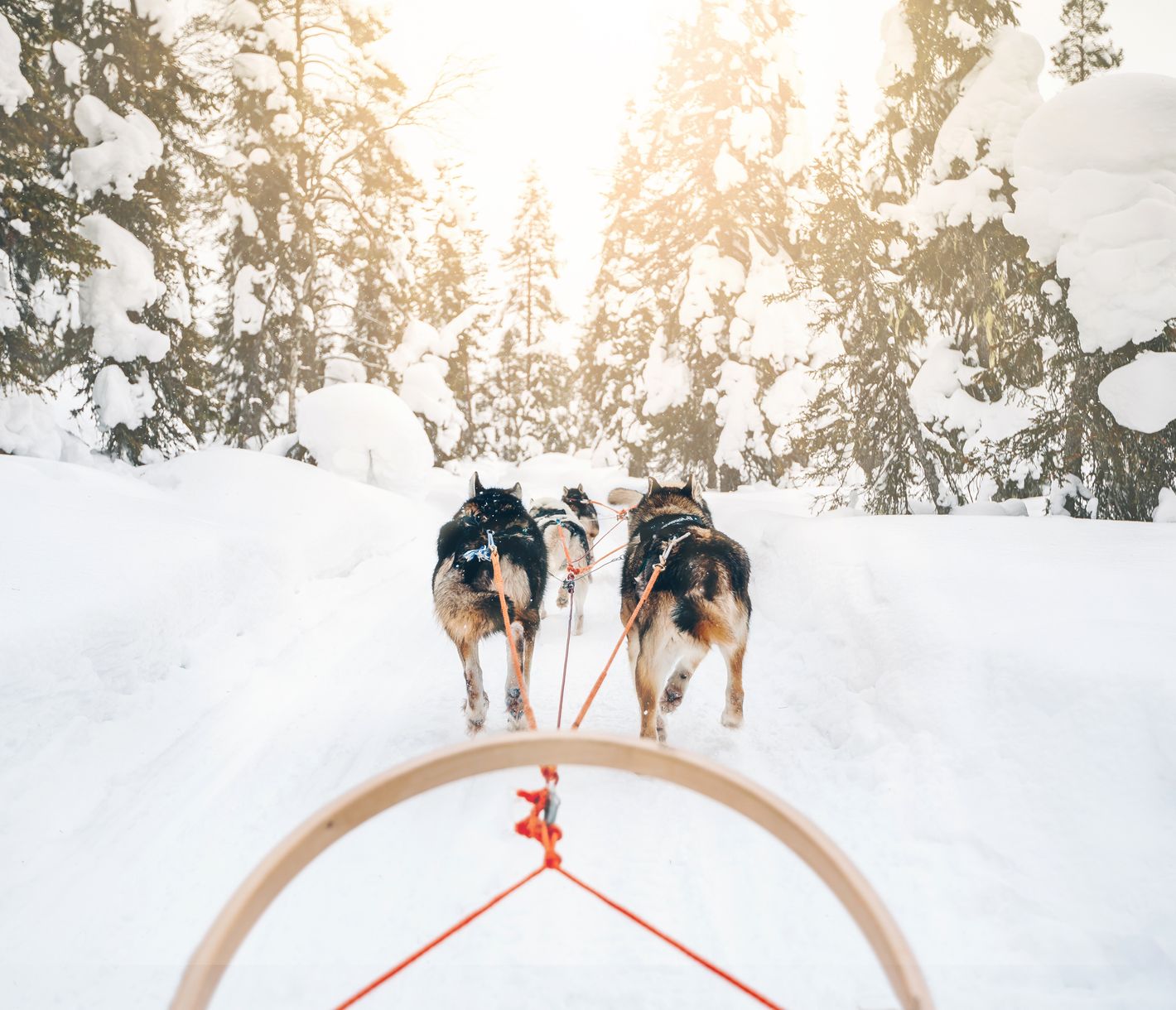 Warm anziehen und los gehts!