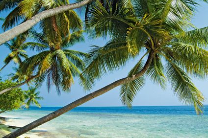 8. Bild der Unterkunft