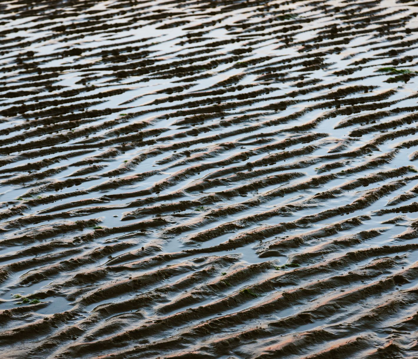Nahaufnahme des Strands bei Morondava bei Sonnenuntergang