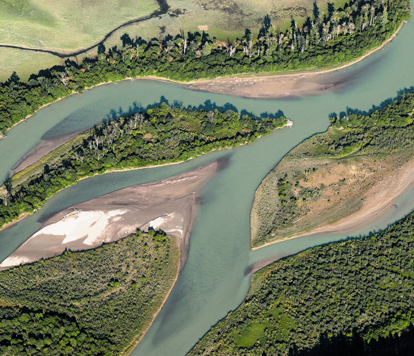 Columbia River bei Invermere