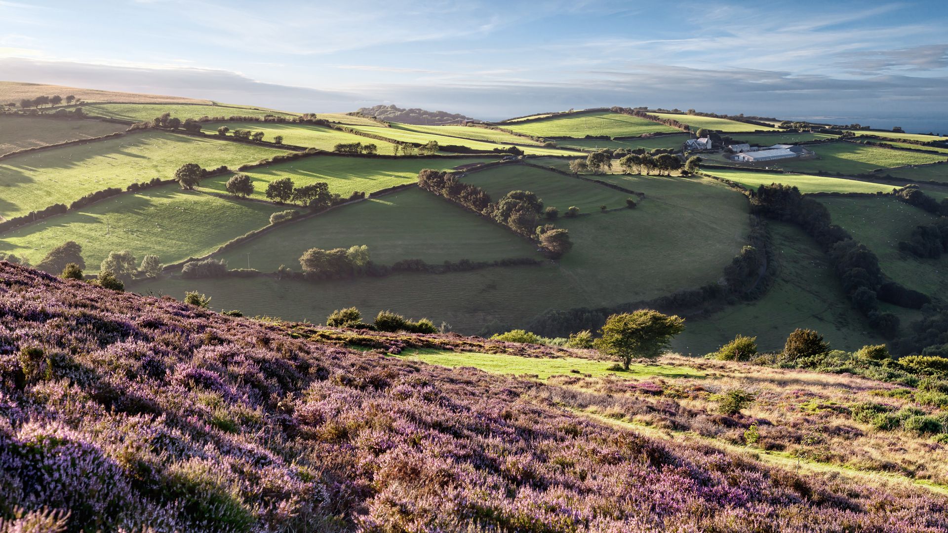 Ein Flickenteppich der Superlative