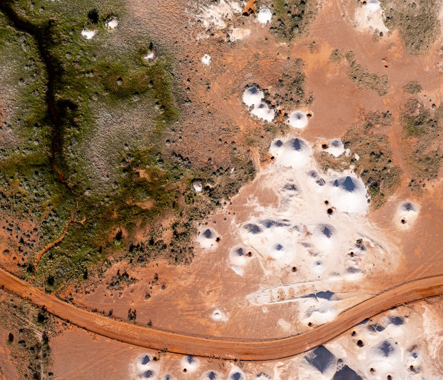 Wer buddelt denn hier?