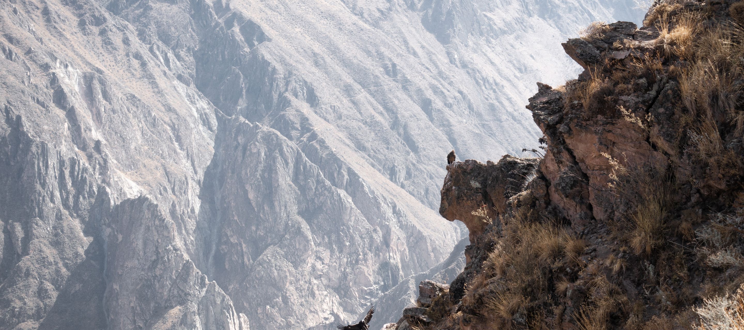 Cola, deuxième canyon le plus profond du monde