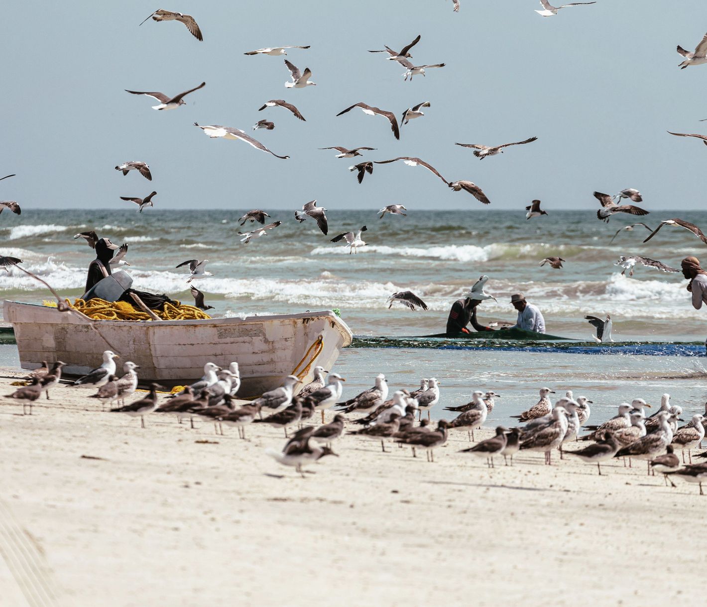 Fischerleben am Strand von Salala: Tradition trifft Natur