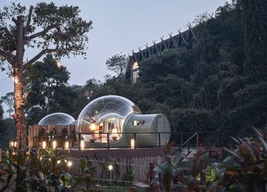 Eine Übernachtung in einer Jungle Bubble wird unvergessen bleiben.