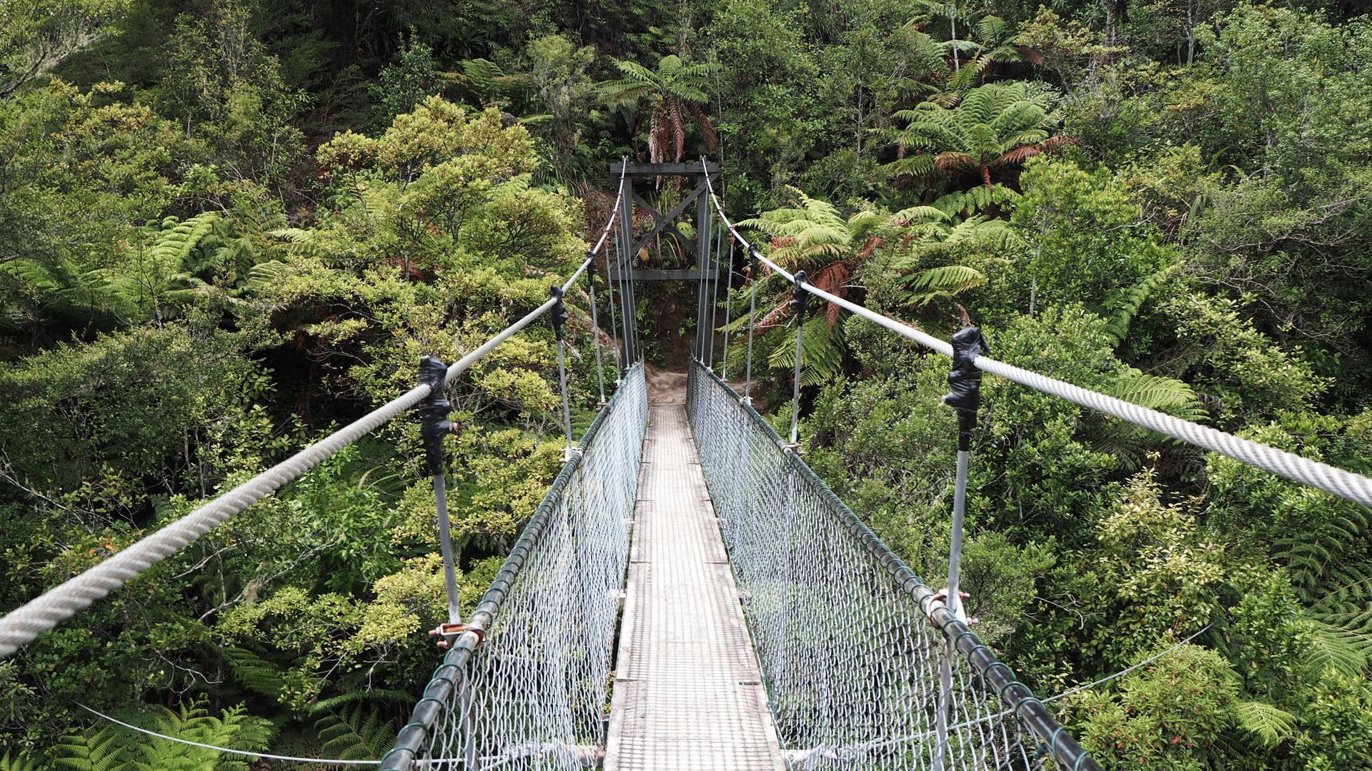 Chemin de randonnée sur l'Abel Tasman Coast Track