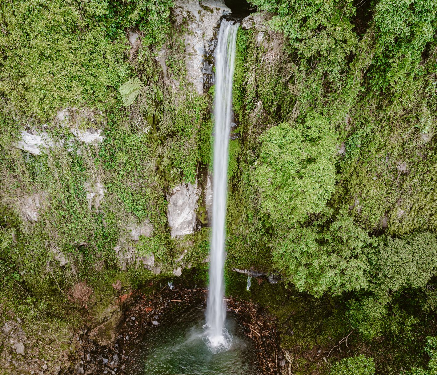 Der Katibawasan Fall ist einer von zwei spektakulären Wasserfällen in Camiguin.