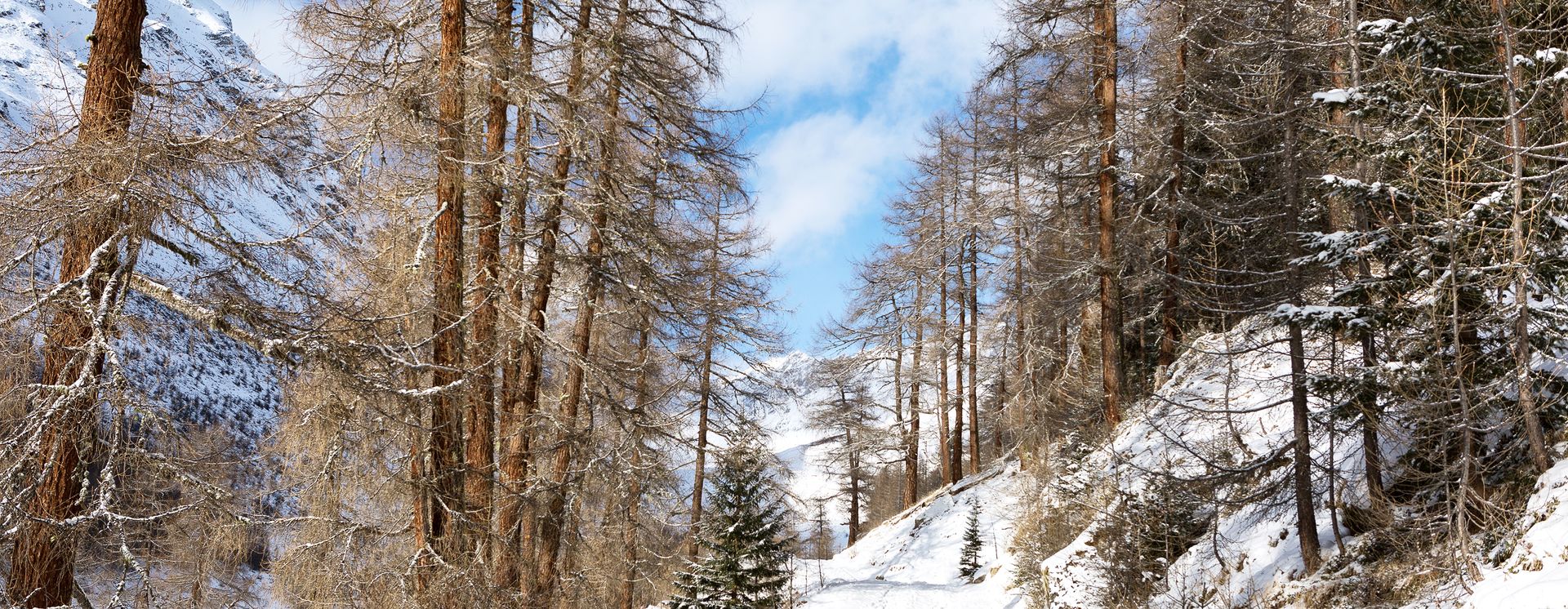 Winterlandschaft im Unterengadin
