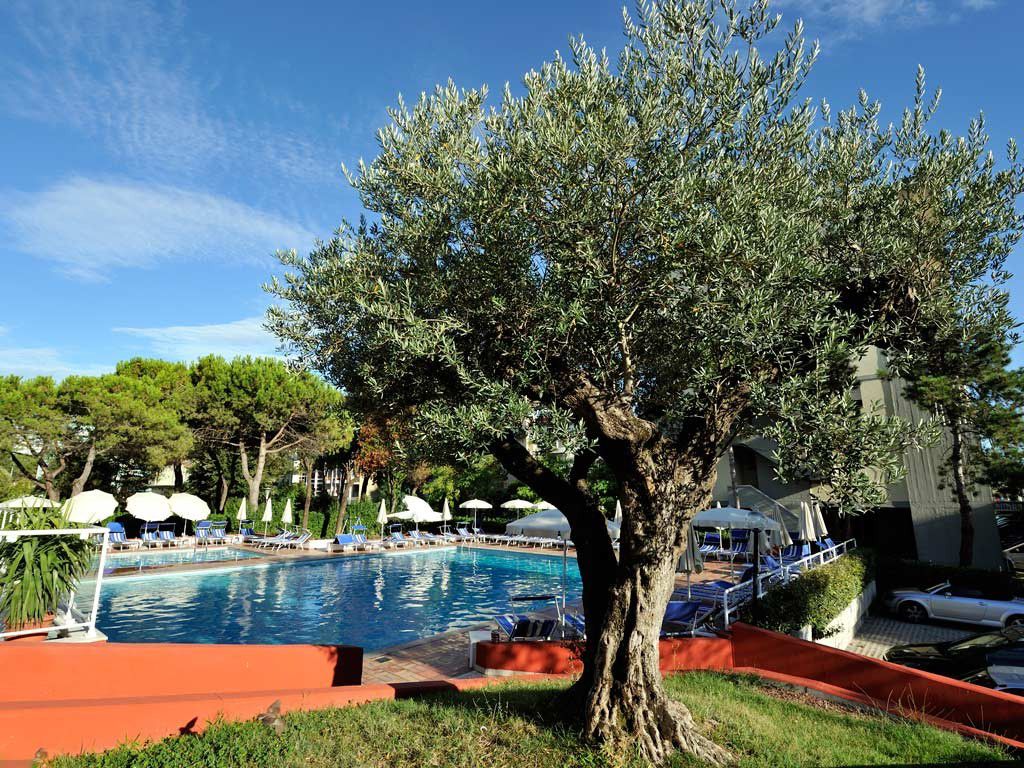 Hotel Bembo