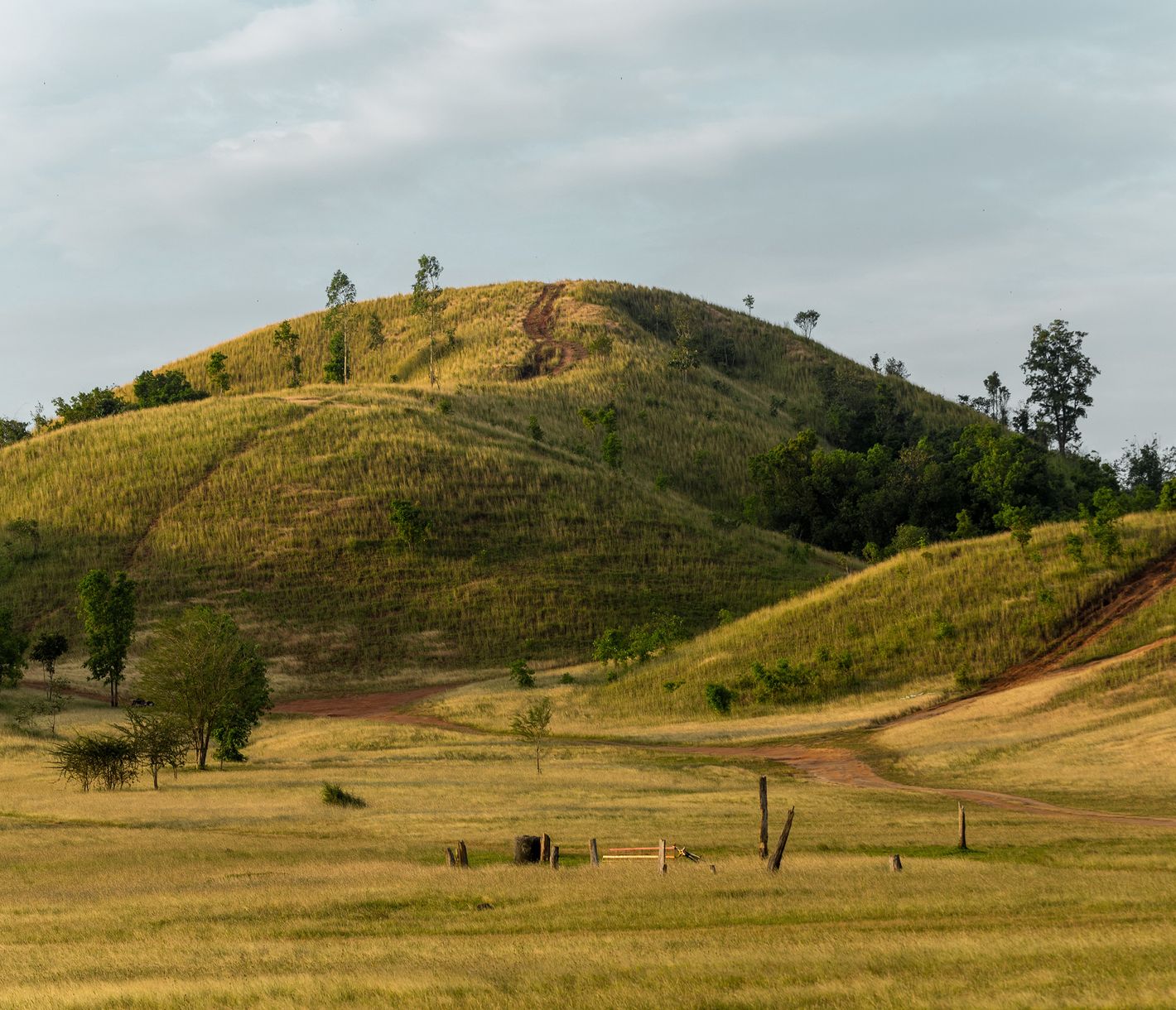Der «Grasberg» Phu Khao Ya bei Ranong wird auch Kahlberg genannt.
