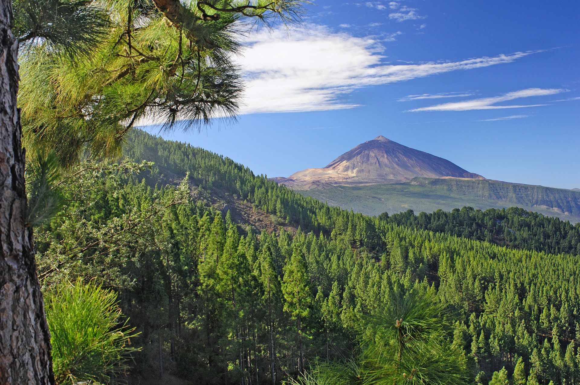 Vue de la vallée d'Orotava