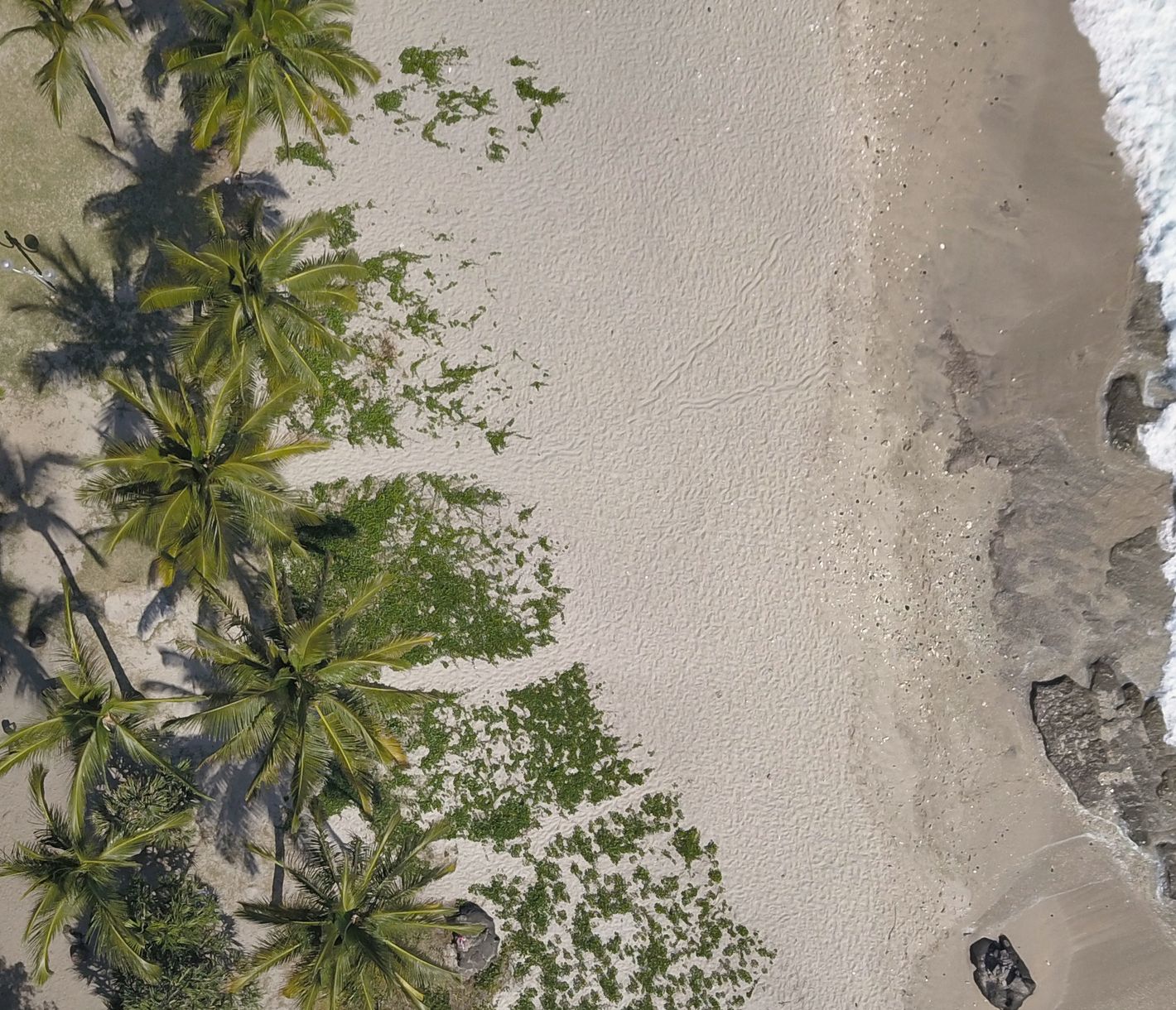 Der Strand von Grand Anse lädt zu einem Picknick oder Bad im Meer.