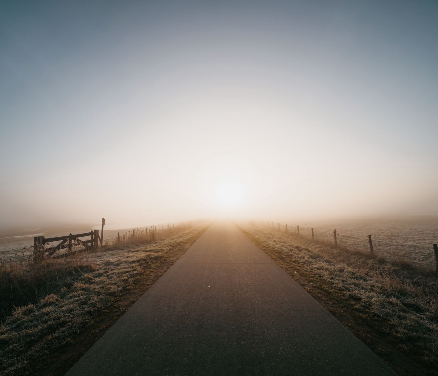 Blick auf eine Landstrasse bei Sonnenaufgang in der Provinz Zeeland