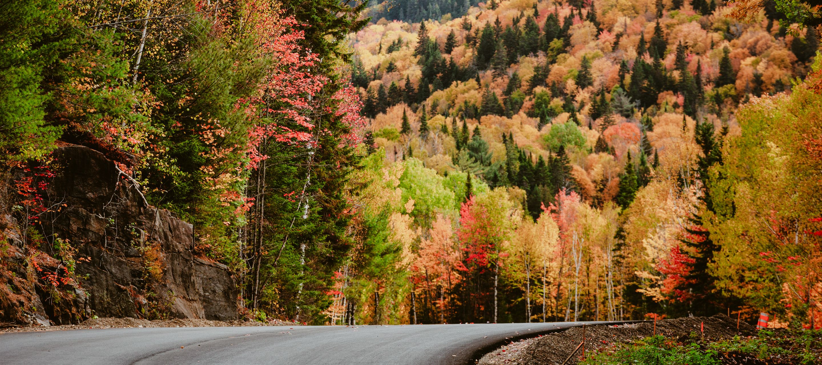 Strasse durch den farbenprächtigen Herbstwald im Mauricie Nationalpark