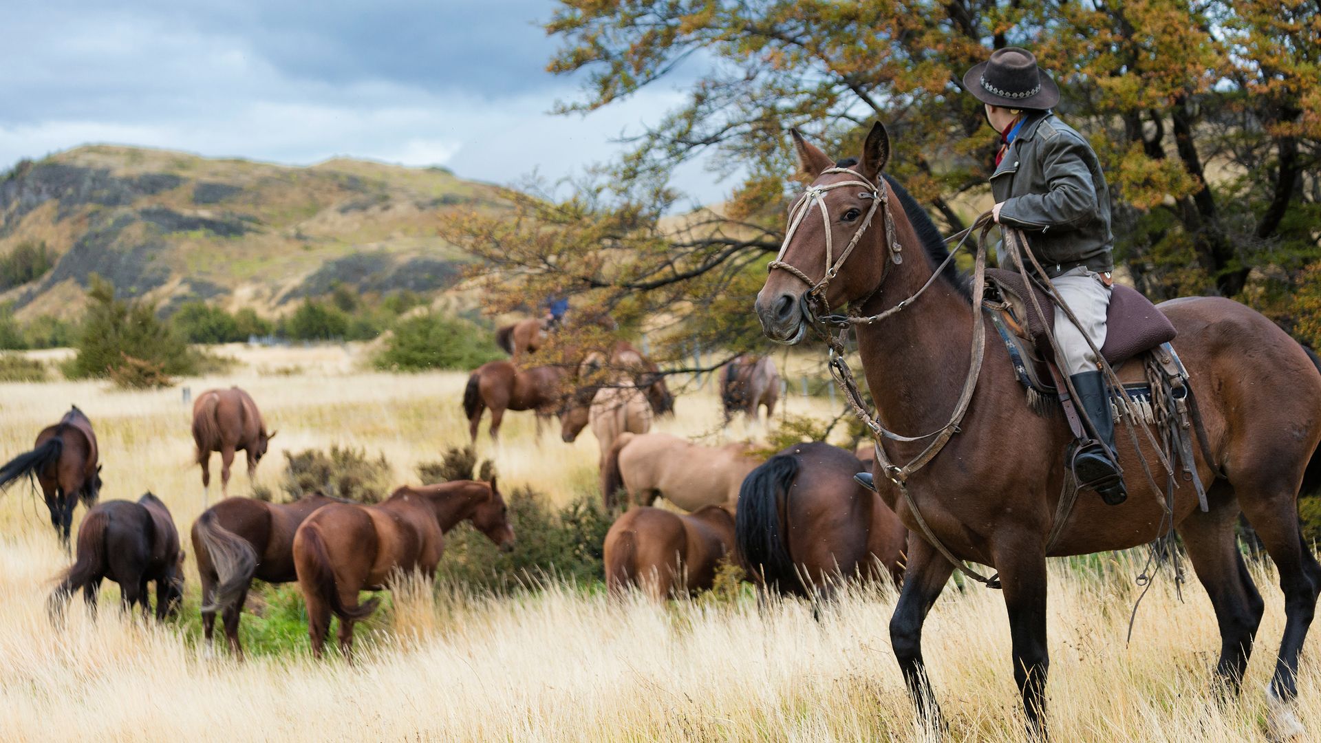 Patagonischer Gaucho